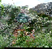 The Cidery - Queensland Tourism