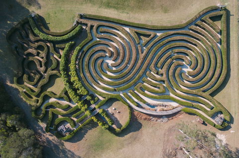 Bago Maze And Wine - QLD Tourism 0
