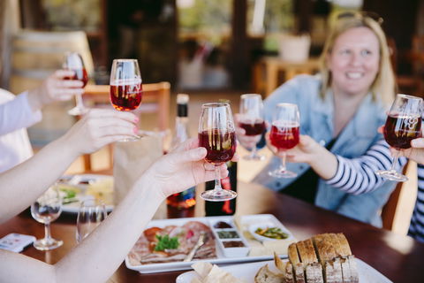 Bago Maze And Wine - QLD Tourism 1