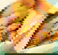 Beretta's Langwarrin Hotel - Queensland Tourism