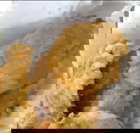 Captain Roxburg Fish  Chips - QLD Tourism