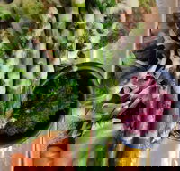 Higher Ground - Queensland Tourism