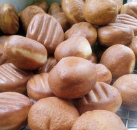 Hot Doughnuts - QLD Tourism