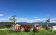 Red Feet Wines - thumb 0