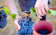 Red Feet Wines - thumb 1