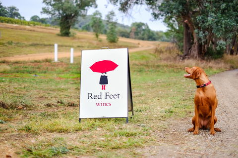 Red Feet Wines - Queensland Tourism 2