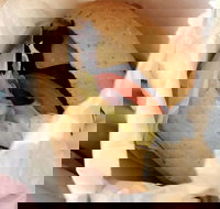 The Crusty Loaf - Queensland Tourism