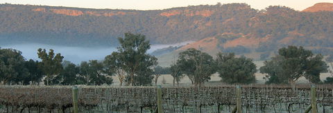 Wilksch Estate Wines - Queensland Tourism 0