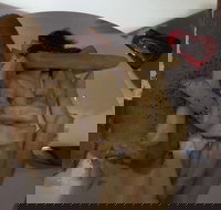 Roast  Toast - Queensland Tourism