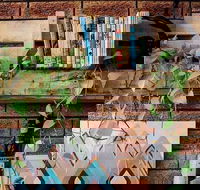 Wilderness Bar - Queensland Tourism