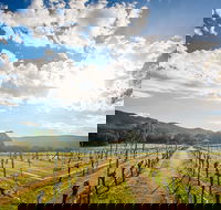 Fallen Giants Vineyard - Queensland Tourism