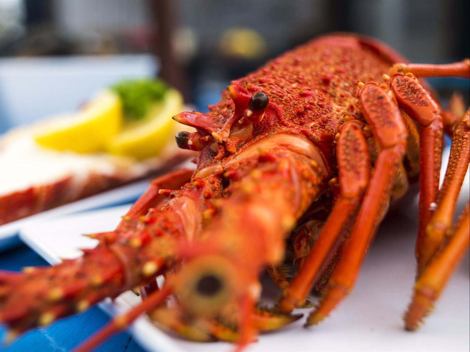 Coles Bay TAS Queensland Tourism