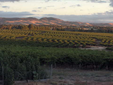 Heritage Wines - QLD Tourism 2