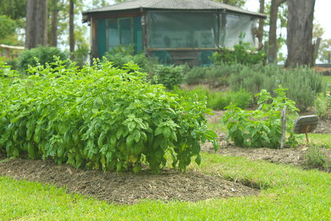 Hillview Herb Farm - QLD Tourism 2