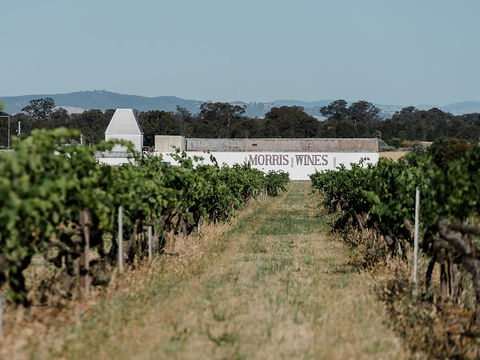 Morris Of Rutherglen - Queensland Tourism 0