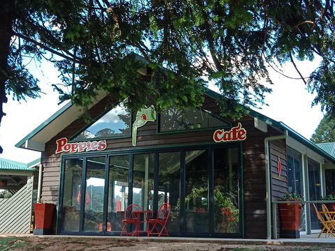 Poppies  Cafe - Queensland Tourism 0