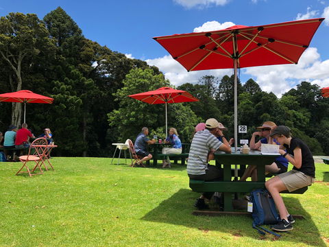 Poppies  Cafe - Queensland Tourism 1