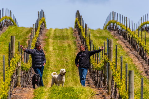 Tim Adams Wines - Queensland Tourism 2