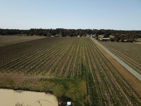 Wine In A Glass - Queensland Tourism 0