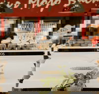 MOJOs in the Marketplace - Queensland Tourism