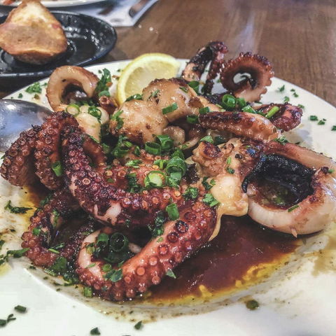 Silvas - QLD Tourism 0