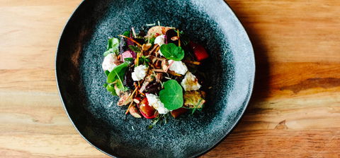 Acre - Camperdown Commons - QLD Tourism 0