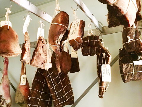 Fork It Farm - QLD Tourism 2