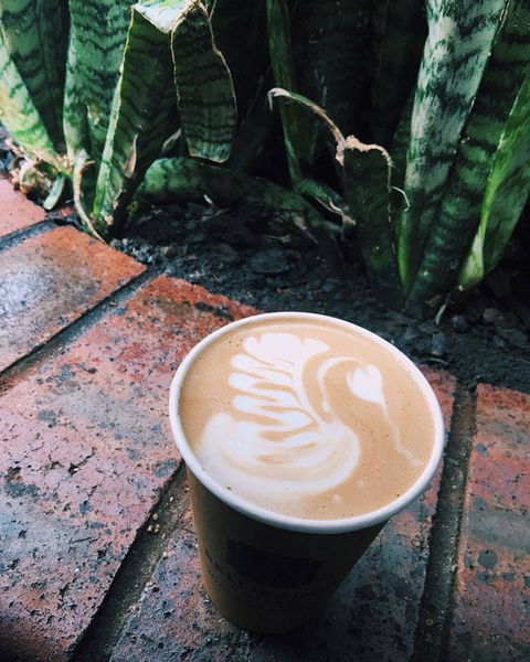 Milk & Froth - Clayfield - QLD Tourism 0