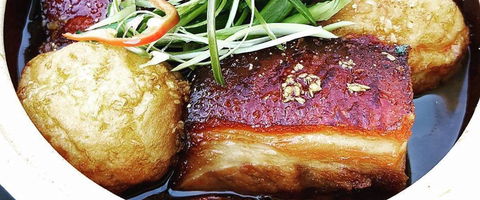 Paper Plate - QLD Tourism 0