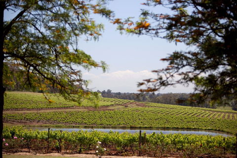 Wynwood Estate - QLD Tourism 0