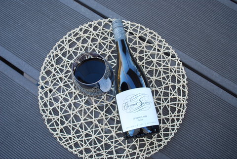 Elysian Springs - QLD Tourism 2