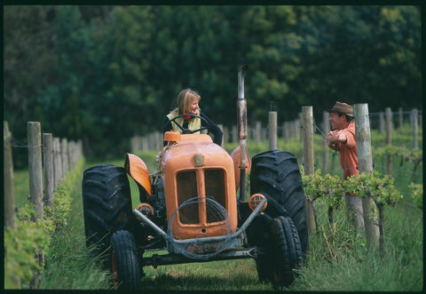 Oranje Tractor Wine - Queensland Tourism 0