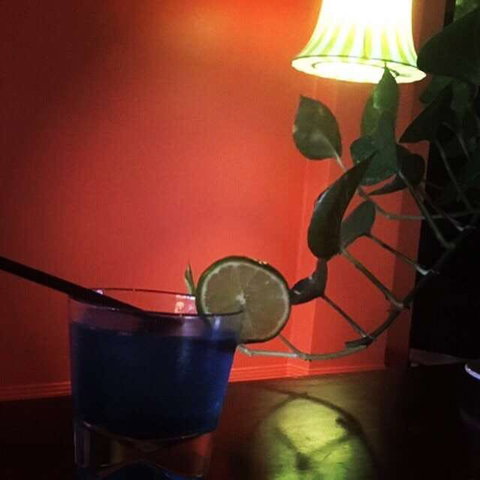 Temple Of Spices Indian + Vegan Restaurant - Queensland Tourism 0