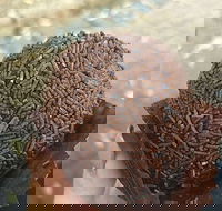 Beccas Cakes - Queensland Tourism