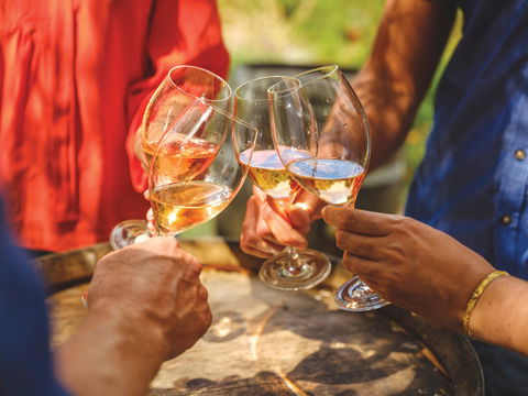 Due Jolly Winery - QLD Tourism 0