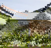National Wine Centre of Australia Tour and Tasting Experiences