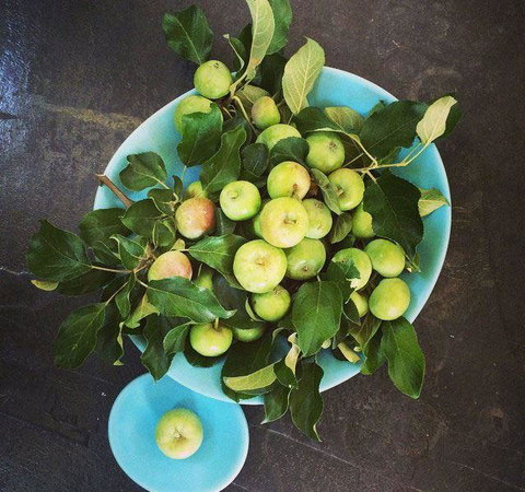 Seed Winehouse + Kitchen - QLD Tourism 6