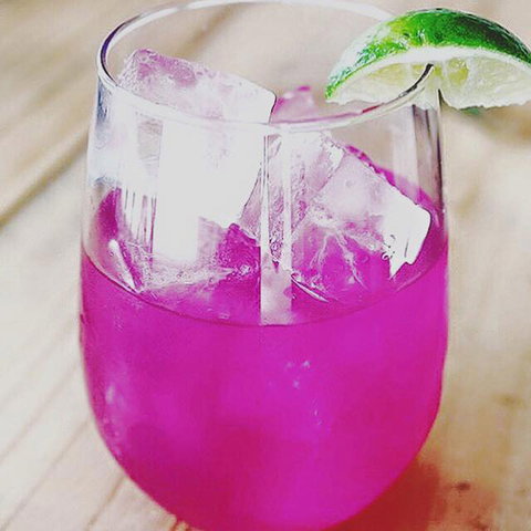 The Fox Wine Bar And Function Room - QLD Tourism 2