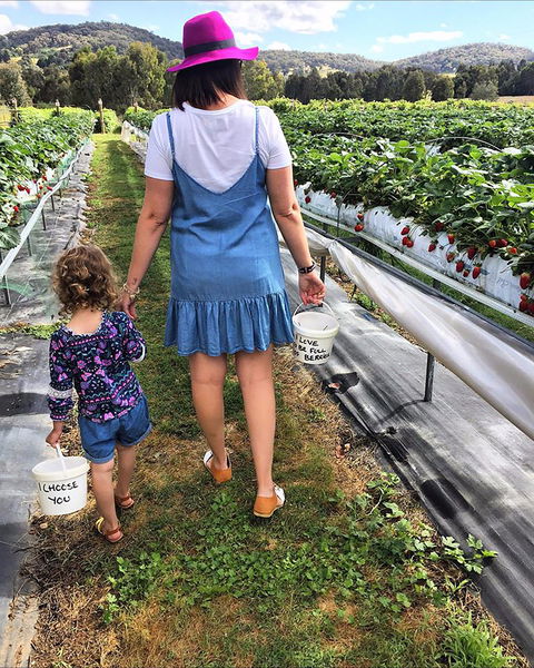 Beechworth Berries - Queensland Tourism 2