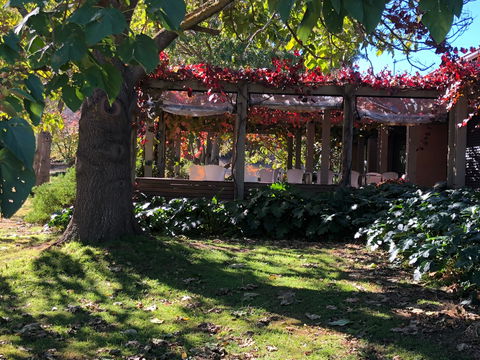 The Pressing Shed Cafe & Restaurant At Nullamunjie Olive Groves - Queensland Tourism 1