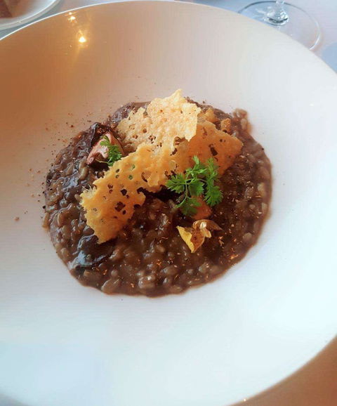 Wild Dog Restaurant - Queensland Tourism 0