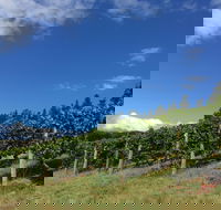 Freycinet Vineyard - Queensland Tourism