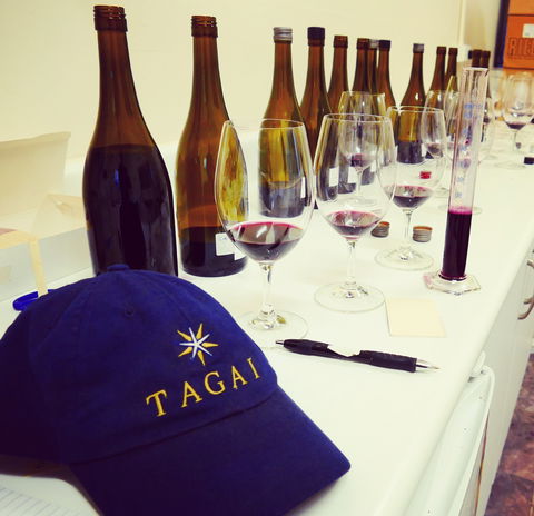 Tagai - Queensland Tourism 2