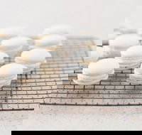 Tandoori Palace - Queensland Tourism