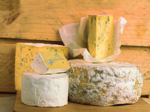 Cheese Shop At Makers' Workshop Burnie - The - QLD Tourism 1