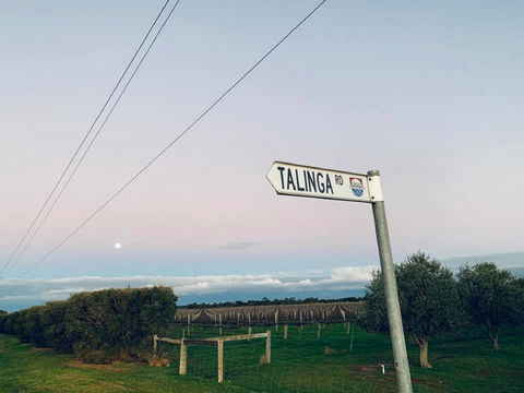 Talinga Grove - Queensland Tourism 2