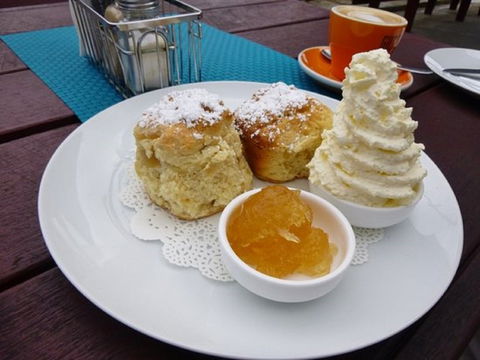 Mogo Pies - QLD Tourism 1
