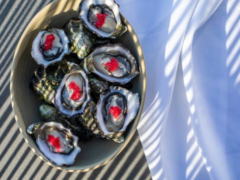 The Rocks - Restaurant, Bar, Pool Club - Queensland Tourism 1