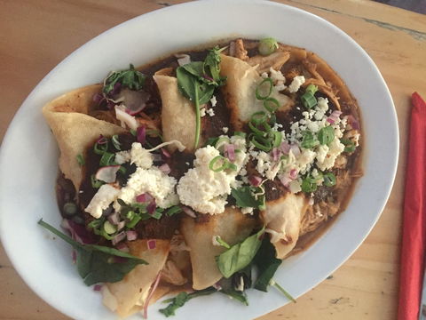 Zocalo Mexican Restaurant - QLD Tourism 0