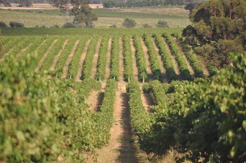 John Gehrig Wines Rutherglen - Queensland Tourism 2